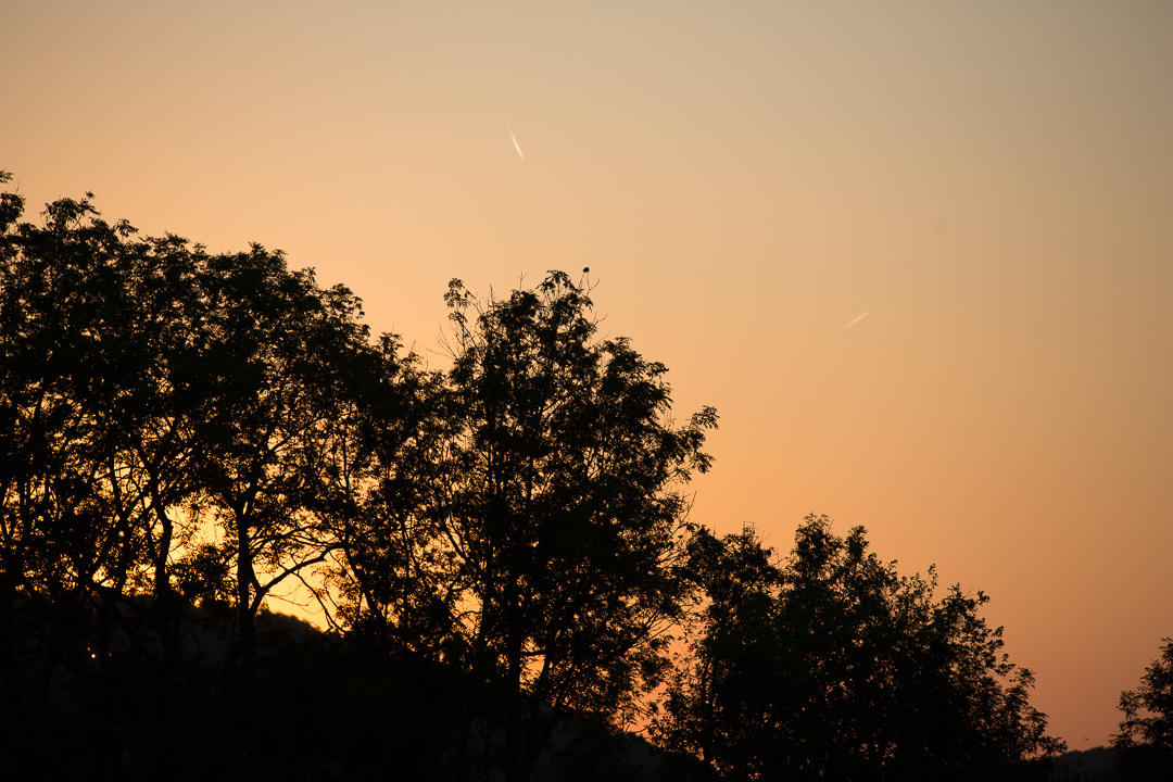 Sonnenuntergangsglutstimmung hinter Bäumen mit 2 Flugzeugen am orange-blau verlaufendem Himmel