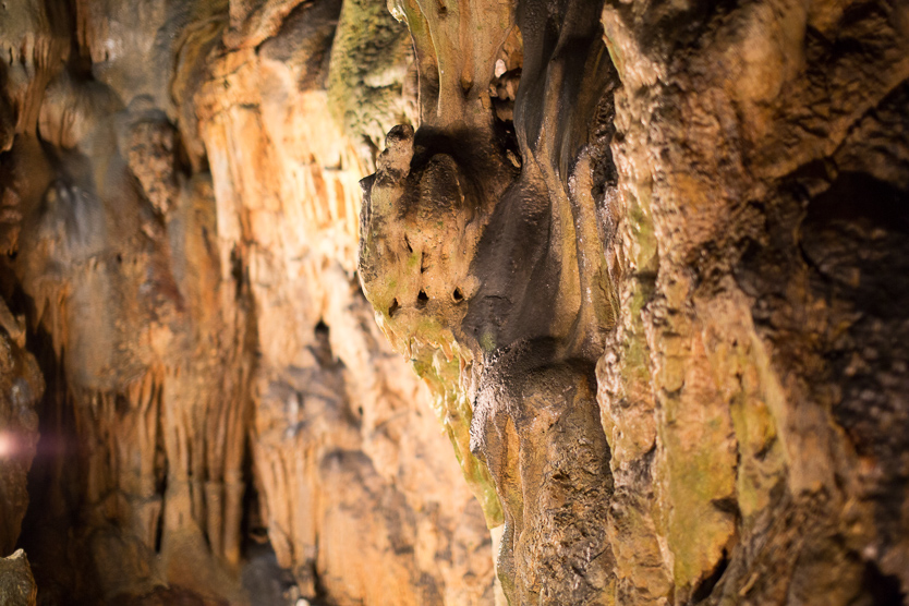 #13 Špilja Biserujka (Höhle Biserujka)